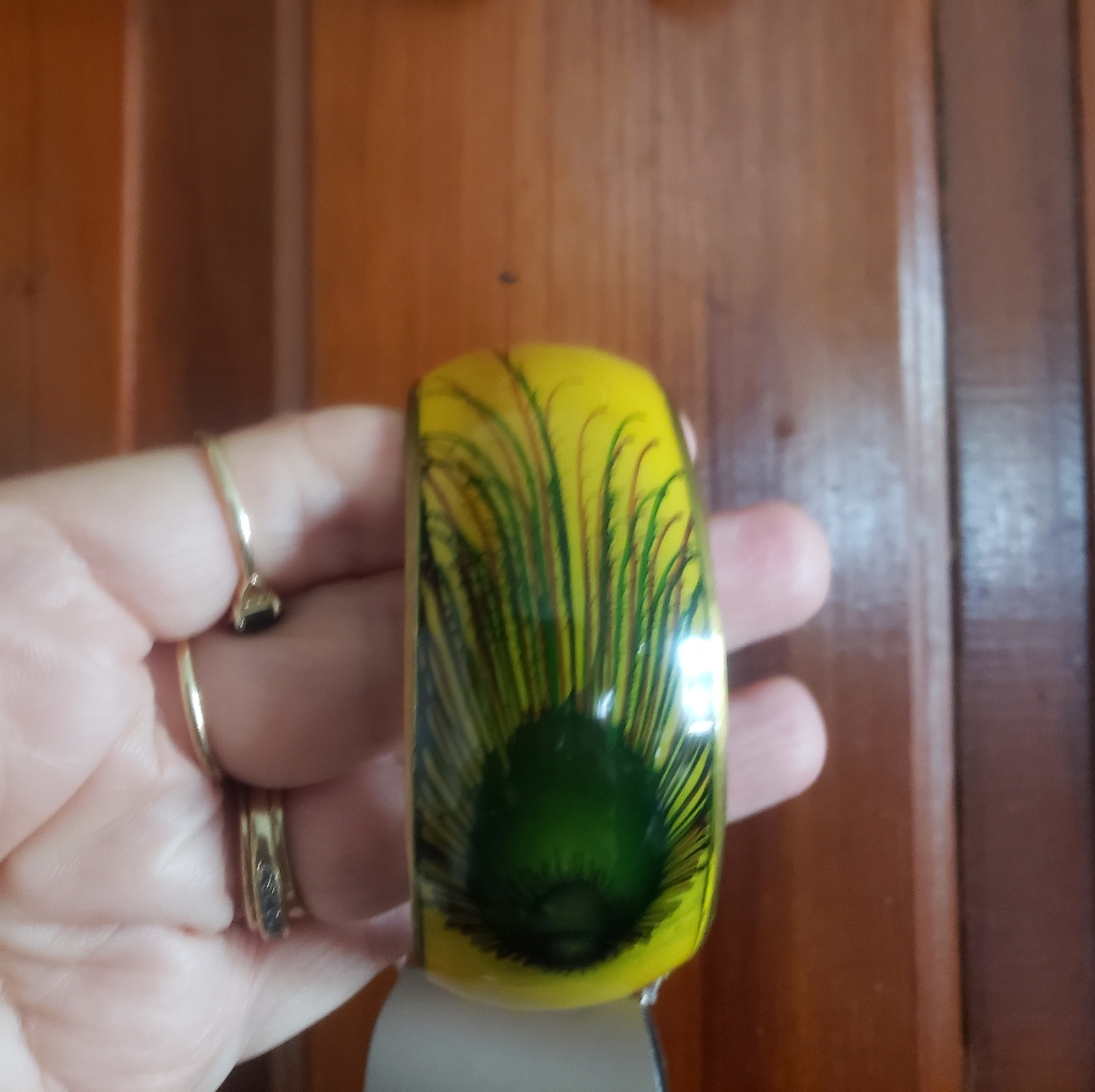Charlotte Russe Peacock Feather Bangle Bracelet 20$